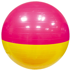 
	W4571PB Two color exercise ball Size:Ф65cm


	/ Weight:1000g1pc/box/18x10x23cm 

