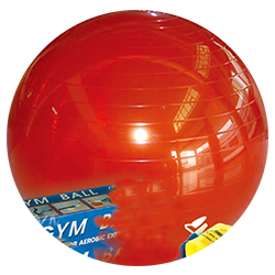 
	W4593PB 

 

	Massage ballSize:Φ55cm,Weight：1000g 

