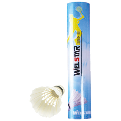 
	W203BB&nbsp;curved feather foamed &nbsp;plastic head
12pcs/paper tube&nbsp;50tubes/68x34x41cm,13/11kgs

