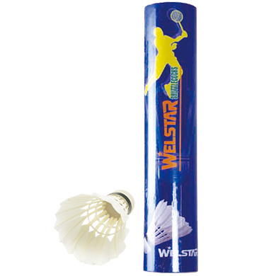 
	W202BB&nbsp;duck feather foamed plastic head&nbsp;
12pcs/paper tube&nbsp;50tubes/68x34x41cm
