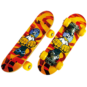 
	W1706SK
skate board,pu wheels size:17"x5" 12pcs/50x26x35cm
