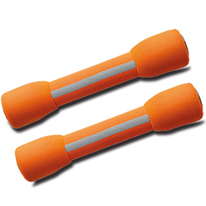 
	W3556FT
Foam Handle Dumbbell 1pair:1kg,2kgs
