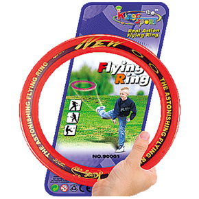 W6013FB
10" PVC flying ring 240pcs/53x39x52cm