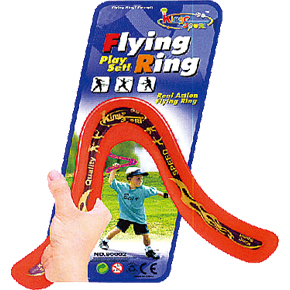 
	W6014FB&nbsp;
14" PVC flying ring 240 pcs/64x37x53cm &nbsp;
